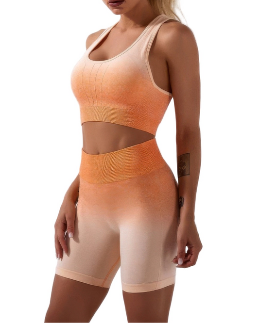Ombre Seamless Two Piece Set - 2 color options
